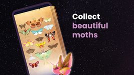 Flutter: Starlight ảnh màn hình apk 3