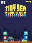 Tiny Sea Adventure ekran görüntüsü APK 5