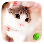 Lovely Cat Keyboard Theme apk icono