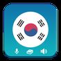 Icono de Learn Korean - Grammar