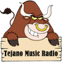 Tejano Music Radio Stations 아이콘