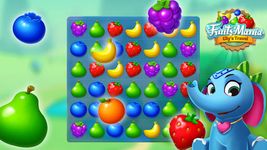 Fruits Mania : Elly’s travel στιγμιότυπο apk 14