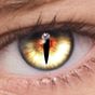 ikon FoxEyes - Change Eye Color 