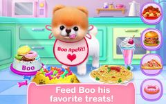 Screenshot 3 di Boo - Il più bel cane al mondo apk