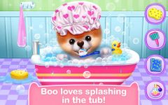 Boo - The World's Cutest Dog zrzut z ekranu apk 2