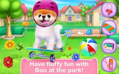 Boo – Toutou Tout Mignon capture d'écran apk 1