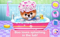 Boo - The World's Cutest Dog ảnh màn hình apk 11