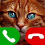 fake call kat icon