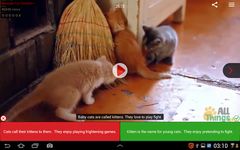 Tangkap skrin apk Voscreen - Learn English with Videos 4