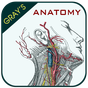Иконка Gray's Anatomy - Atlas