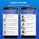 Скриншот 4 APK-версии Gray's Anatomy - Atlas