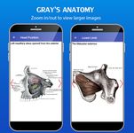 Скриншот 1 APK-версии Gray's Anatomy - Atlas