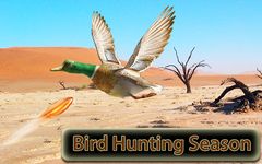 Bird Hunting: Çöl Sniper ekran görüntüsü APK 17