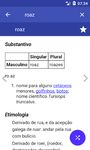 Captura de tela do apk Dicionário português 9