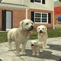 Ikona Dog Sim Online