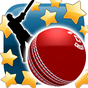 Icono de New Star Cricket