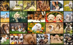 Картинка 4 Dog Puzzles Kids Games