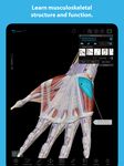 Screenshot  di Atlante di anatomia umana apk