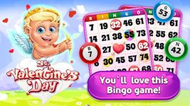 Bingo St. Valentine's Day captura de pantalla apk 14