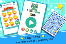 Linemaze Puzzles ekran görüntüsü APK 14