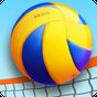 Volleyball de plage 3D