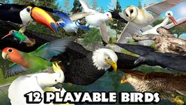 Screenshot 1 di Ultimate Bird Simulator apk
