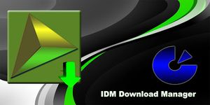 Imagem 4 do IDM Download Manager