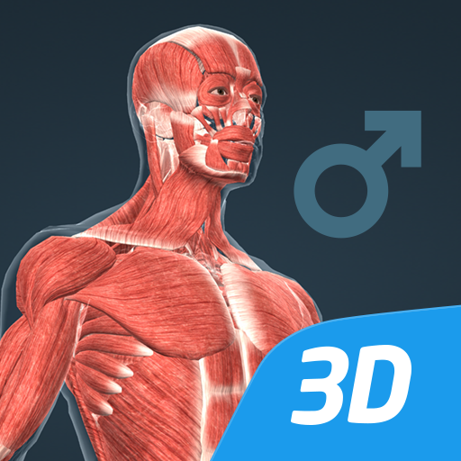 Human Anatomy APK Download for Android Free