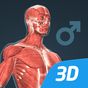 Ícone do Human body (male) VR 3D