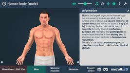 Captura de tela do apk Human body (male) VR 3D 5
