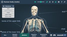 Captura de tela do apk Human body (male) VR 3D 3