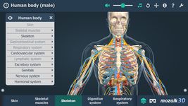 Captura de tela do apk Human body (male) VR 3D 2