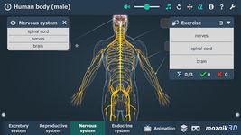 Captura de tela do apk Human body (male) VR 3D 1
