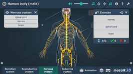 Human body (male) VR 3D Screenshot APK 1