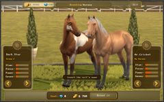 Screenshot  di Jumping Horses Champions 2Free apk