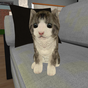 Kitty Cat Simulator APK