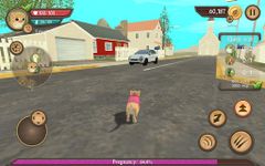 Tangkap skrin apk Cat Sim Online: Play with Cats 8