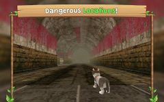 Tangkap skrin apk Cat Sim Online: Play with Cats 2