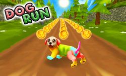 Captură de ecran Dog Run - Pet Dog Simulator apk 10