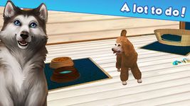 Imagem 2 do PetHotel – Meu hotel animal