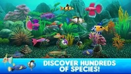 Captură de ecran Fish Tycoon 2 Virtual Aquarium apk 16