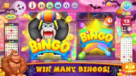 Bingo Party - Crazy Bingo Tour ekran görüntüsü APK 13