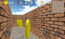 Maze World 3D capture d'écran apk 9