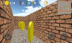 Maze World 3D capture d'écran apk 12