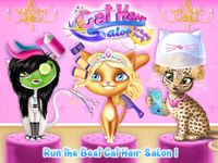 Cat Hair Salon Birthday Party στιγμιότυπο apk 12