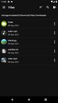 Скриншот 4 APK-версии Video Downloader