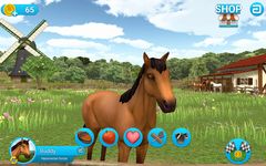 HorseWorld: Salto ecuestre captura de pantalla apk 7