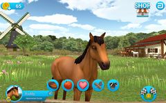 HorseWorld: Springreiten Screenshot APK 15