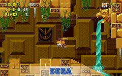 Sonic the Hedgehog™ ekran görüntüsü APK 2