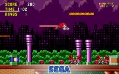 Screenshot 1 di Sonic the Hedgehog™ apk